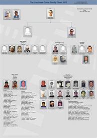 Image result for Crime Family Chart
