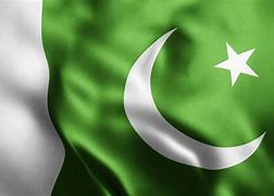 Image result for Alternate Pakistan Flag