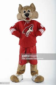 Image result for Phoenix Coyotes Mascot