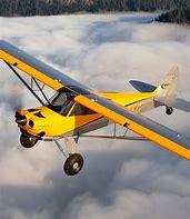 Image result for Carbon Cub SS