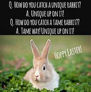 Image result for Cute Easter Jokes