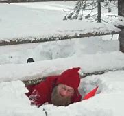 Image result for Too Much Snow Funny