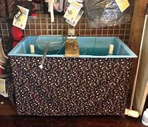 Image result for Commercial Bait Store Minnow Tanks