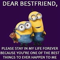 Image result for Minion Quotes Friends When You Fall