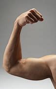 Image result for Chris Evans Biceps Muscles