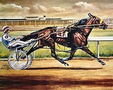 Image result for Pacer Horse