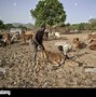 Image result for Sudan People
