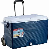 Image result for Cooler On Wheels with Handle