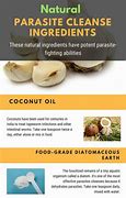 Image result for Parasite Cleanse Detox