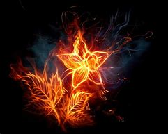 Image result for Cool Fire Flowers