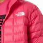 Image result for North Face Winter Coats Kids