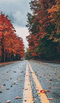 Image result for iPhone Wallpaper Autumn HD