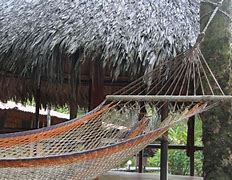 Image result for Hanging a Hammock without Trees