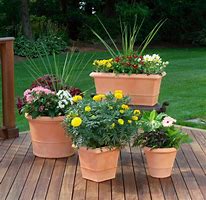 Image result for Patio and Deck Planters