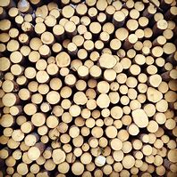 Image result for Stacked Wood