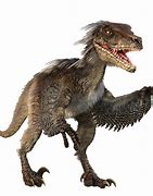 Image result for Velociraptor Real Jurassic World