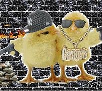 Image result for Baby Chickens with Guns