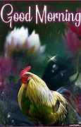 Image result for Morning Rooster