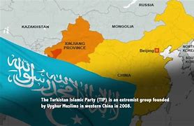 Image result for Turkistan Islamic Party China