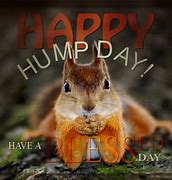 Image result for Happy Hump Day Love