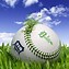 Image result for Kindle Fire HD 8 Wallpaper Baseball