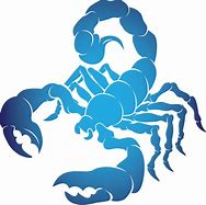 Image result for Blue Scorpion Logo
