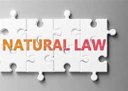 Image result for Natural Law Cartoon