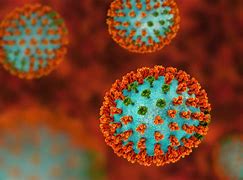 Image result for Flu Virus Pictures