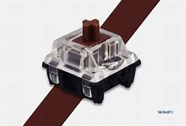 Image result for Brown Switches