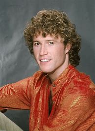 Image result for Andy Gibb 20th Century