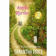 Image result for Amish Mystery Books