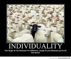 Image result for Funny Black Sheep Quotes