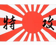 Image result for Japan Flag WW2 Image