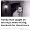 Image result for Florida Man Funny