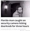 Image result for Florida Man January 28