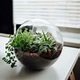 Image result for Desk Decoration Ideas in Office