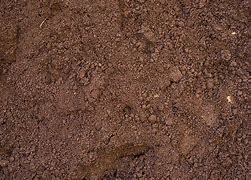 Image result for sandy loam soil