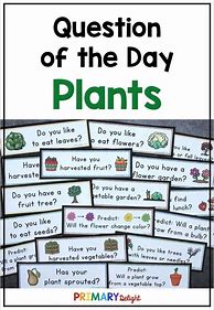 Image result for Open-Ended Questions About Plants for Kids