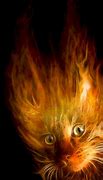 Image result for Fire Cat Animated