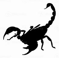 Image result for Scorpion Silhouette