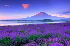 Day Tour From Tokyo: Mt. Fuji 5th Station & Lake Kawaguchi Cable Car | Japan | Miki Travel Asia