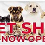 Image result for Puppy Stores Near Me