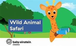 Image result for Baby Einstein Wild Animal Safari