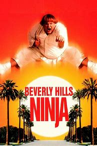 Image result for Beverly Hills Ninja DVD