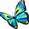 Image result for Landing Butterfly Clip Art
