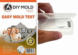 Image result for Home Mold Test Kit
