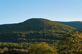 Image result for Rogers Island Catskill