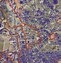 Image result for Firebombing of Dresden Map