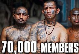Image result for Most Dangerous Gangs USA