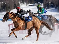 Image result for Horse in Neighbrhod Lose Run